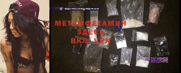 индика Мегион