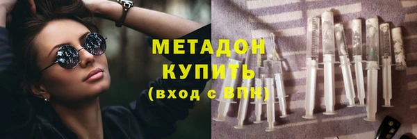 шишки Надым