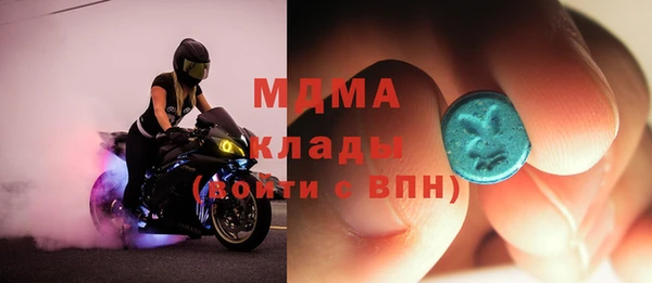 индика Мегион