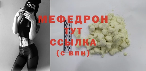 шишки Надым