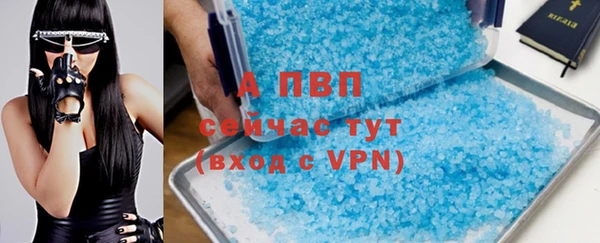 индика Мегион