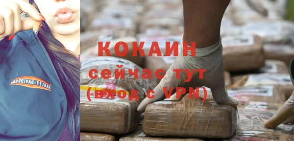 индика Мегион