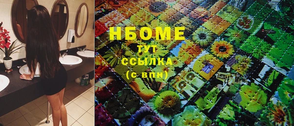 индика Мегион