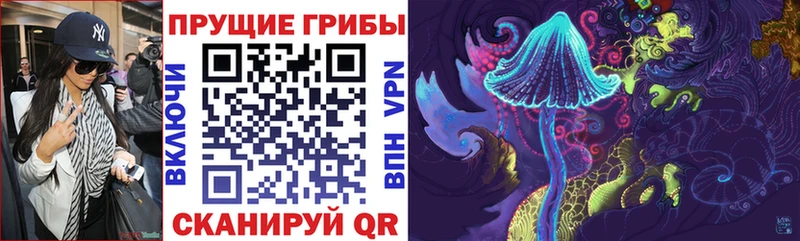 Псилоцибиновые грибы мицелий Заинск