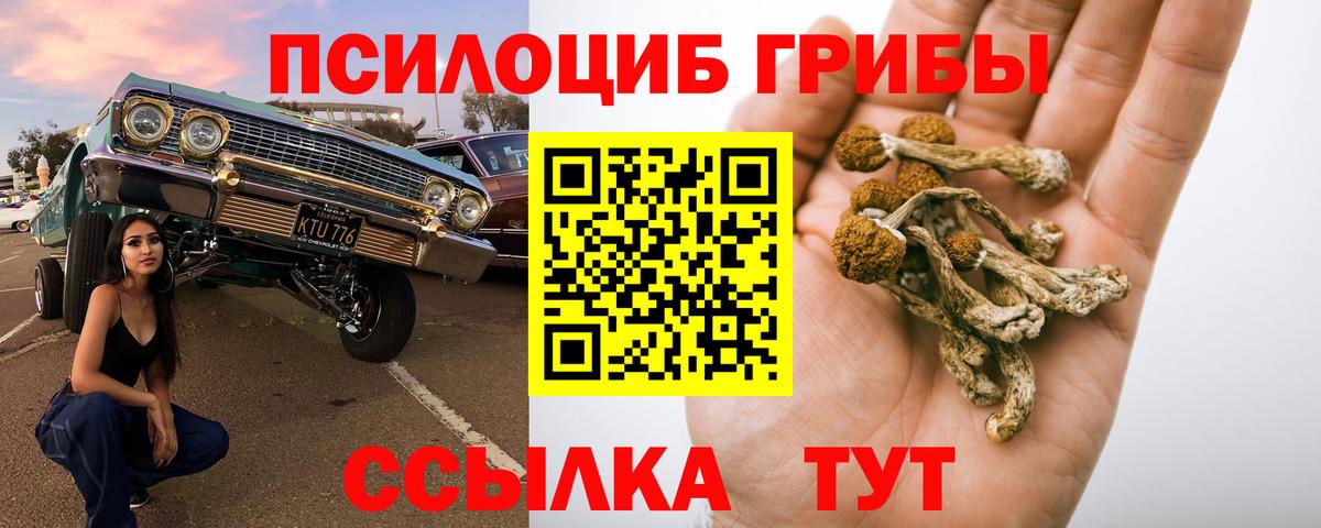 Галлюциногенные грибы мицелий  Вход с VPN  Псилоцибиновые грибы Psilocybe  Заинск 