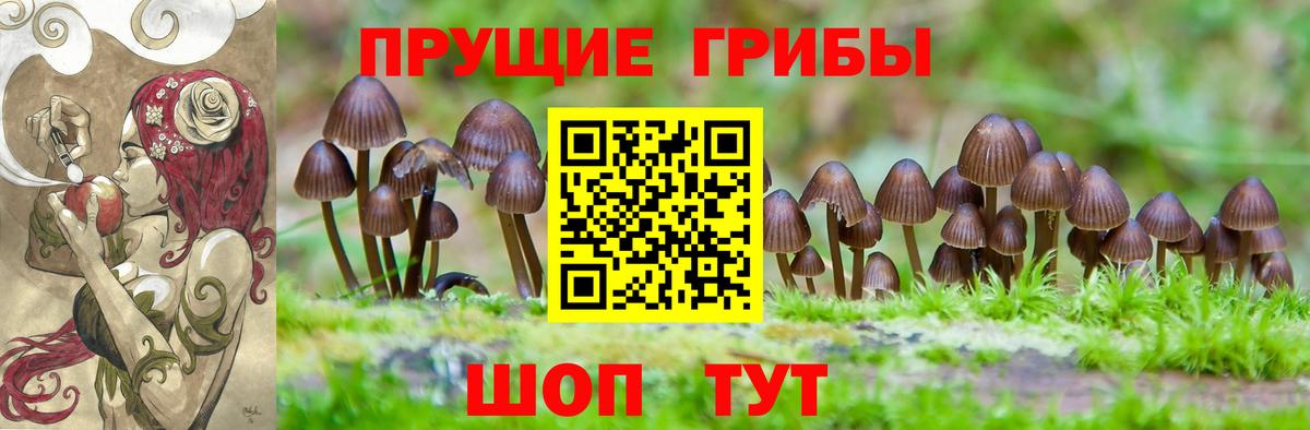 Псилоцибиновые грибы GOLDEN TEACHER Заинск