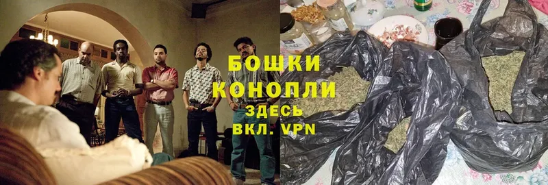 Каннабис OG Kush  Заинск 